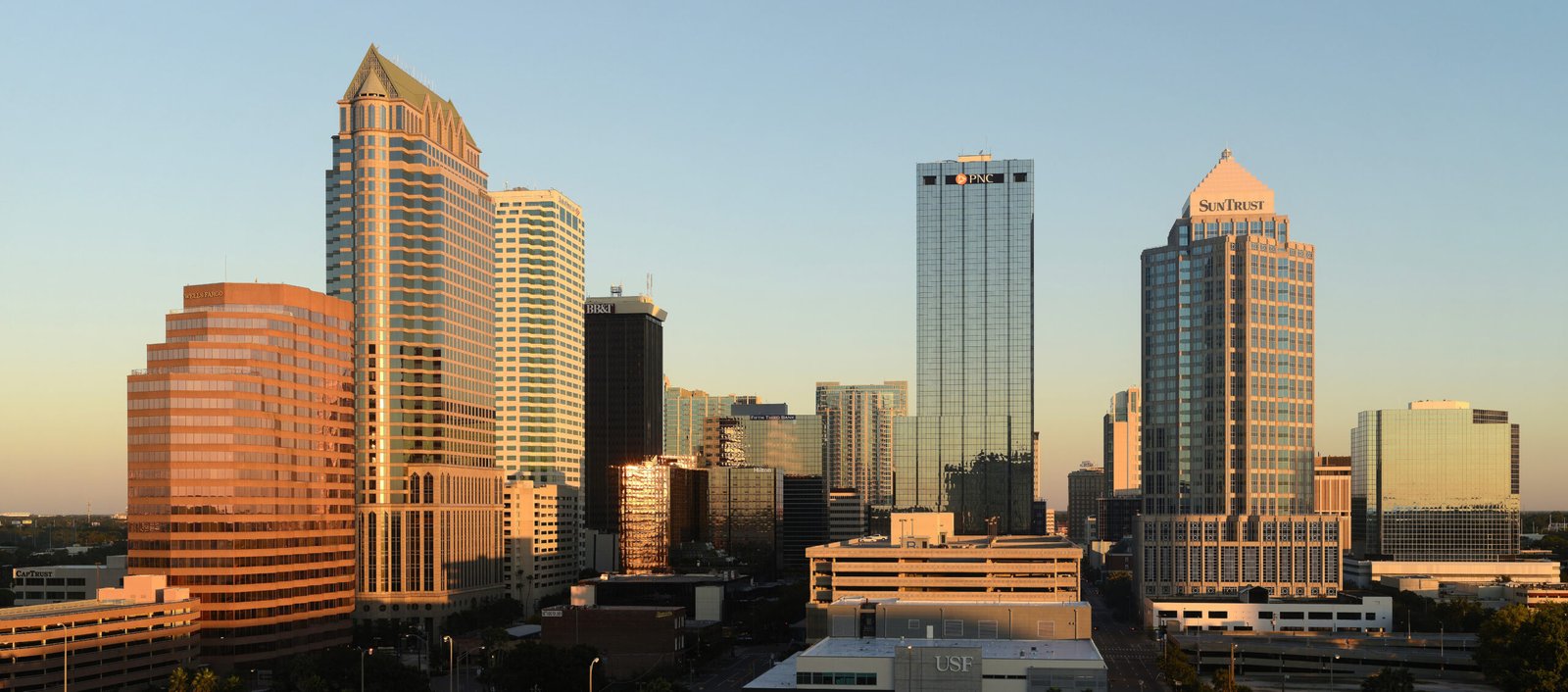 Alvesgaspar · CC BY-SA 3.0 · https://commons.wikimedia.org/wiki/File:Tampa_Florida_November_2013-2b.jpg